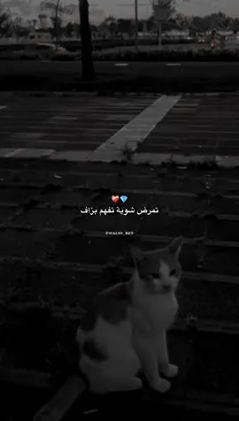 #fyp #foruyou #viralvideos #foryoupage❤️❤️ #حكمة_اليوم 