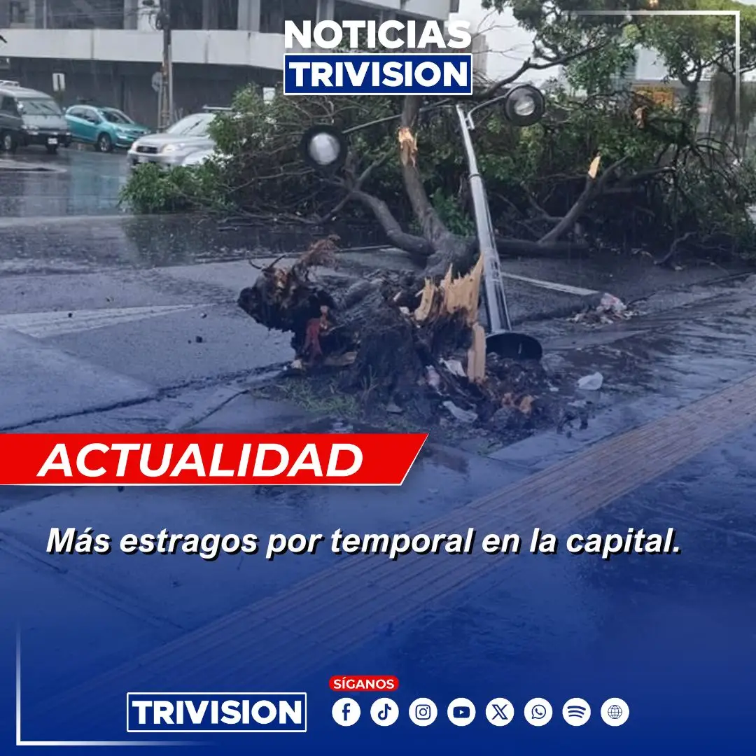 🔴 #NoticiasTrivisión | La lluvia fuerte de este lunes dejó un árbol caído frente al Hospital de Niños sobre Paseo Colón. Conductores y transeúntes deben extremar precauciones.