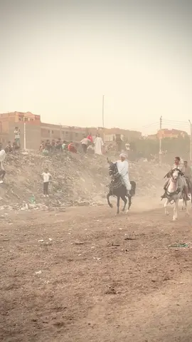 آنتا اول حبيب احتفال مولد النبي صلى الله عليه وسلم 🤍🐎 #مولد_النبوي_الشريف_مبارك #خيل_وخياله🐎 #خيل_وخياله🐎🖤ماشاءالله_اللهم_بارك🧿♥️ #بسم_الله_ماشاء_الله♥️🧿 #كل_عام_وانتم_بخير❤ 