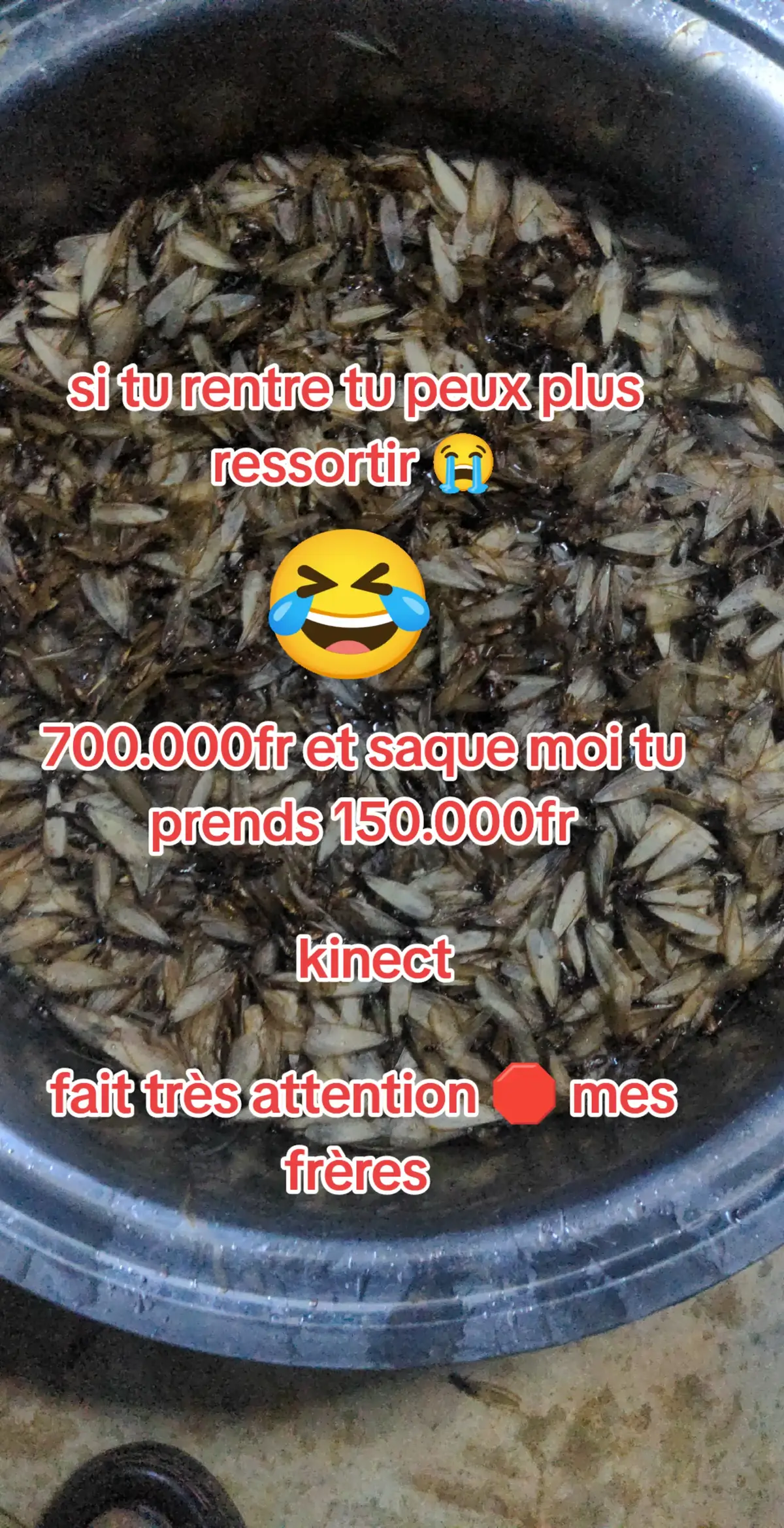 #burkinatiktok🇧🇫 