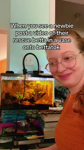 Bettatok…let’s talk about it.  Bettatok is a great place to find other betta keepers and to learn about proper betta care, but it requires a THICK skin when you’re new. The feedback can be excessively harsh and feel like an attack. There’s good reason for it though, a vase might look better than a cup, but in reality it isn’t.  First and foremost, a betta need filtration. Unstable water parameters will seriously disable a fish and eventually kill it, regardless of how planted the tank is.  To fish, water is their air. We all know how bad air quality can effect our health, it’s the same thing with water quality for fish.  The space that a betta takes up in the wild accounts to about a 30 gallon long tank at home. Five gallons is functional, because bettas in the store are very different from bettas in the wild, but they still need the space to swim and to function as fish, not as decoration.  Lastly, how much prettier is a nice, well set up tank than a fish alone in an empty vase, or a vase with minimal plants?  Even if you don’t feel creative enough to build a tank on your own, there are places you can go to buy set up tanks!   #fishtok #bettatok #bettafish #bettatank #bettafishtok 