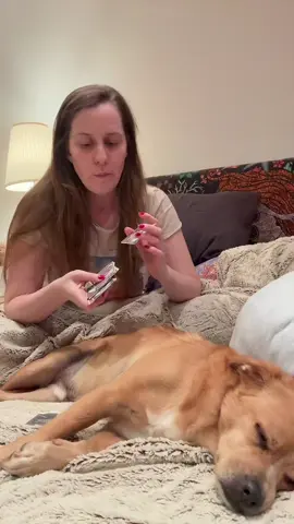 🔮  • • • #dogmom #voyance #tarot #viral #lol 