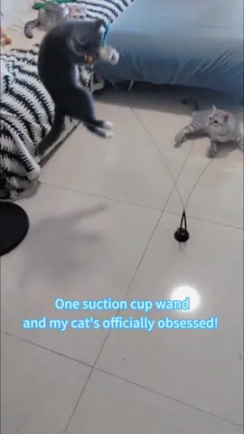 Just stick this cat wand to the floor and your hands are free.#tiktokmademebuyit#catsoftiktok #catplaying #funny #cattoys 