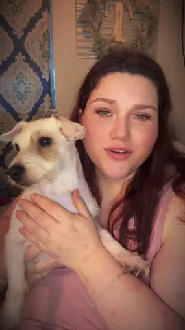 #pets #dog #cat 