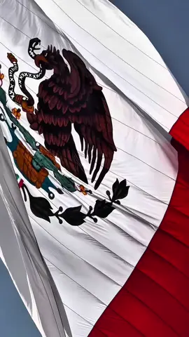 ¡Viva México! 🎉🇲🇽 El 16 de septiembre de 1810, Miguel Hidalgo y Costilla lanzó el Grito de Independencia, un llamado a la lucha por la libertad que cambió la historia de México. Un grito que sigue vivo en el corazón de los mexicanos. 💪🏽 #IndependenciaDeMéxico #VivaMéxico #LibertadYSoberanía