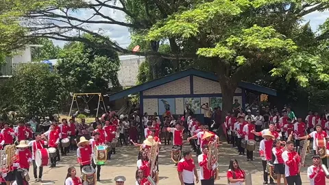 banda IMCS