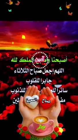 #دعاء_يوم_الثلاثاء #اللهم_امين #اسعد_الله_جميع_اوقاتكم🌹🌹 #ادعية_يومية_مع_سوزدار🌹 #الاكسبلور 