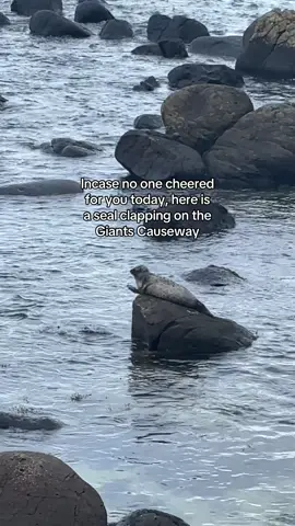 YOU’RE DOING AMAZING SWEETIE. ⭐️ #irelandtiktok #irishtiktok #belfasttiktok #belfast #giantscauseway 