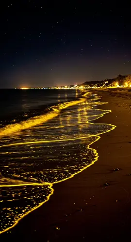 The Calmness of Nature  #relaxingnature #serenity #natureaesthetic #rareaesthetic #beachvibe 