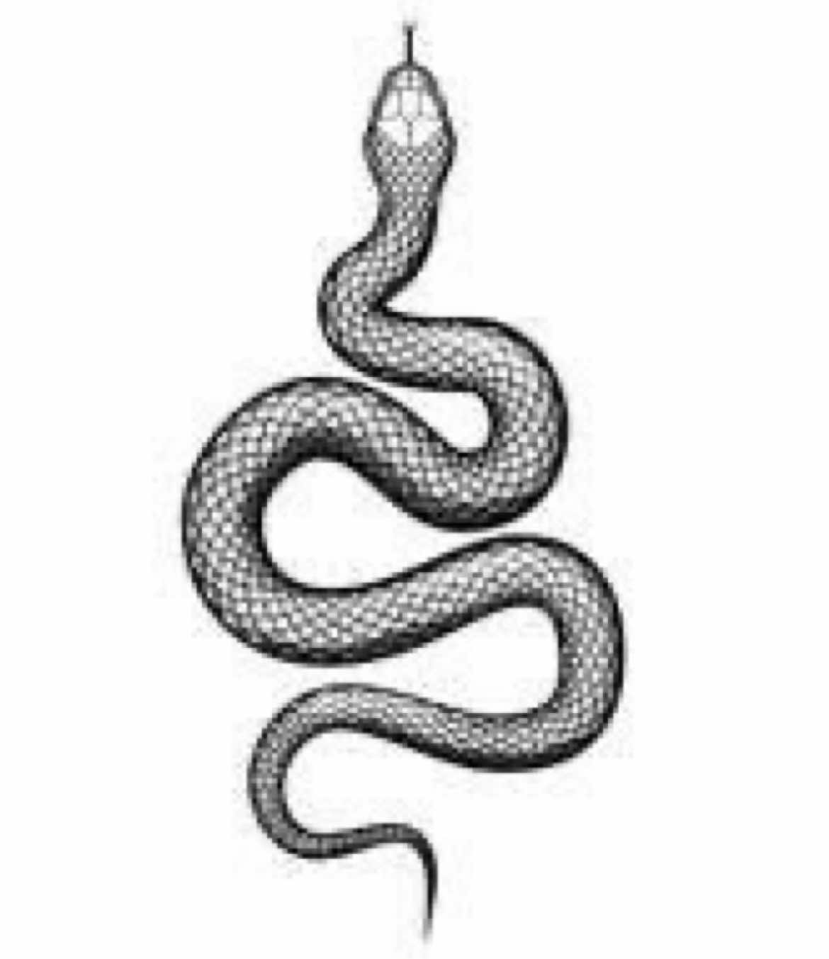 eternity #ouroboros 