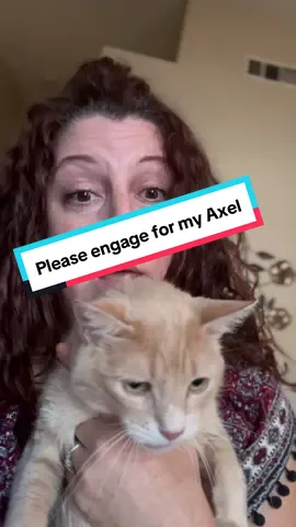 I just need engagement. My poor kitty axle is in really bad shape with his teeth. I’ve been quoted $1000 from the vet. I just need to get into the creator fund so I can start making money so I can get him to the vet. any engagement helps thank you.#creatorfund #vetbills #cat #sad #furbaby 
