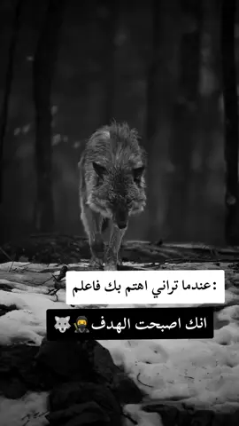 #fyp #f #F #شلفاوة_والحلاوة🔥 #شعب_الصيني_ماله_حل😂😂 