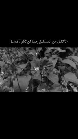 لا تـقلق مـن المستقـبل ربــمـا لـن تـكون فـيه..! #virall #fypシ #foryou   #اقتباسات#اكسبلورexplore 