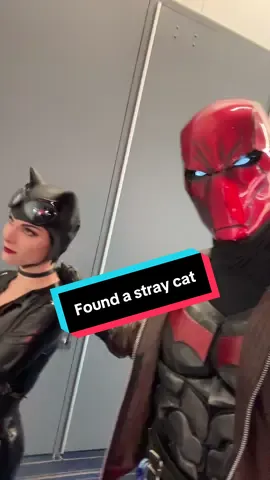 Hey Bruce, look at this stray cat I found! @Rebecca Rose  #catwoman #redhood #dccomics #jasontodd #dccomics 