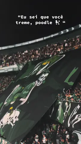 Nunca serão #coritiba #imperioalviverde #iav 