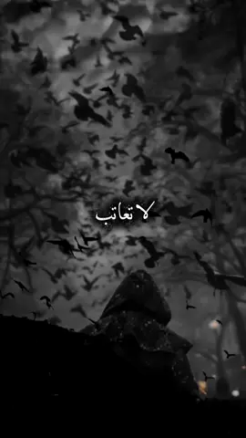 من يريدك حقآ لن يتخلى عنك #اقتباسات_عبارات_خواطر #حالات_واتس #مشاهدات #foryou #fyp 