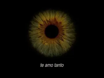 Parte 1| Te amo tanto que... #poema #faridieck #reflexiones #reflexionesdelavida #dedicarvideos♡ 
