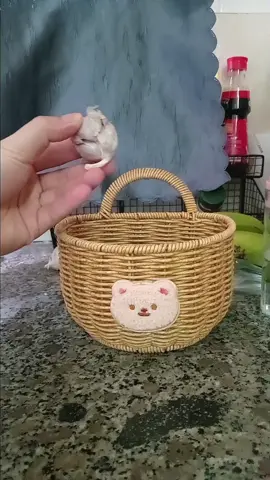 Giỏ nhựa giả mây đan đựng gừng hành tỏi, gấu dễ thương, để bàn hoặc treo tường tiện lợi. #giodunghanhtoi #gionhuagiamay #gionhuadunghanhtoigung #giodunghanhtoitreotuong #giodunghanhtoikho 