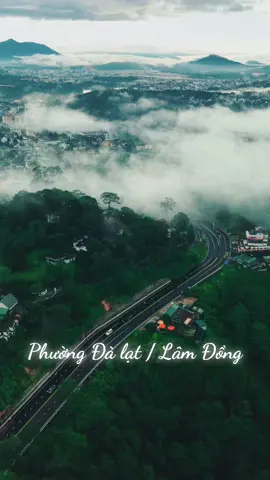 Dalat trong tym tôi...#changtraidalat #dalat #lamdong #viral #deoprenn 