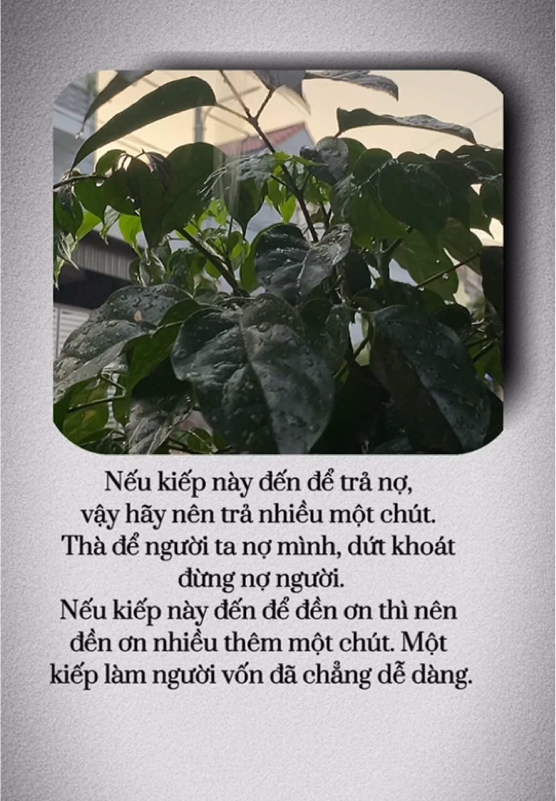 Nếu kiếp này đến để trả nợ, vậy hãy nên trả nhiều một chút. Thà để người ta nợ mình, dứt khoát đừng nợ người. Nếu kiếp này đến để đền ơn thì nên đền ơn nhiều thêm một chút. Một kiếp làm người vốn đã chẳng dễ dàng.