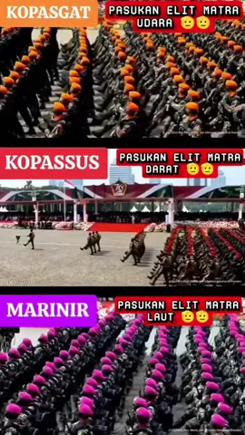 Pasukat Elit 