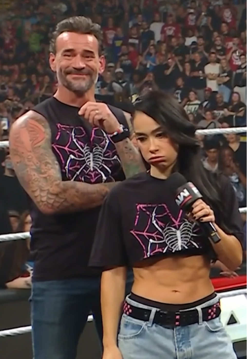 the icon you are 🤩 #WWE #AJLee #CMPunk #SethRollins #BeckyLynch