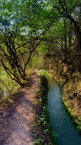 Rinconcitos hermosos de mi Salta ✨❤️☀️🍃 #aventura #salta #argentina #rincones #naturaleza