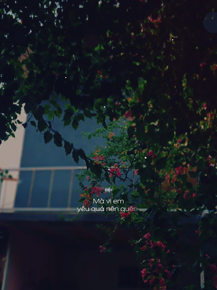 Ta say không phải vì men mà vì em yêu quá nên quên quên lối về quên cả mình... [ Say Một Đời Vì Em ] #saymotdoiviem  #nhacbuontamtrang  #tramcamxuc  #maucapcut  #thanham1991 