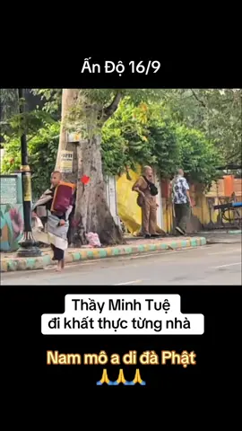 16/9 Thầy con đi khất thực tuỳ duyên #suminhtue #thayminhtue #minhtue #suminhtuemoinhat #thichminhtue 