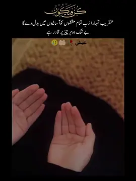 إِنَّ اللَّهَ عَلَىٰ كُلِّ شَيْءٍ قَدِيرٌ بےشک اللّٰہ ہر چیز پر قادر ہے ❤️‍🩹 #alquran #allahhuakbar #foryou 