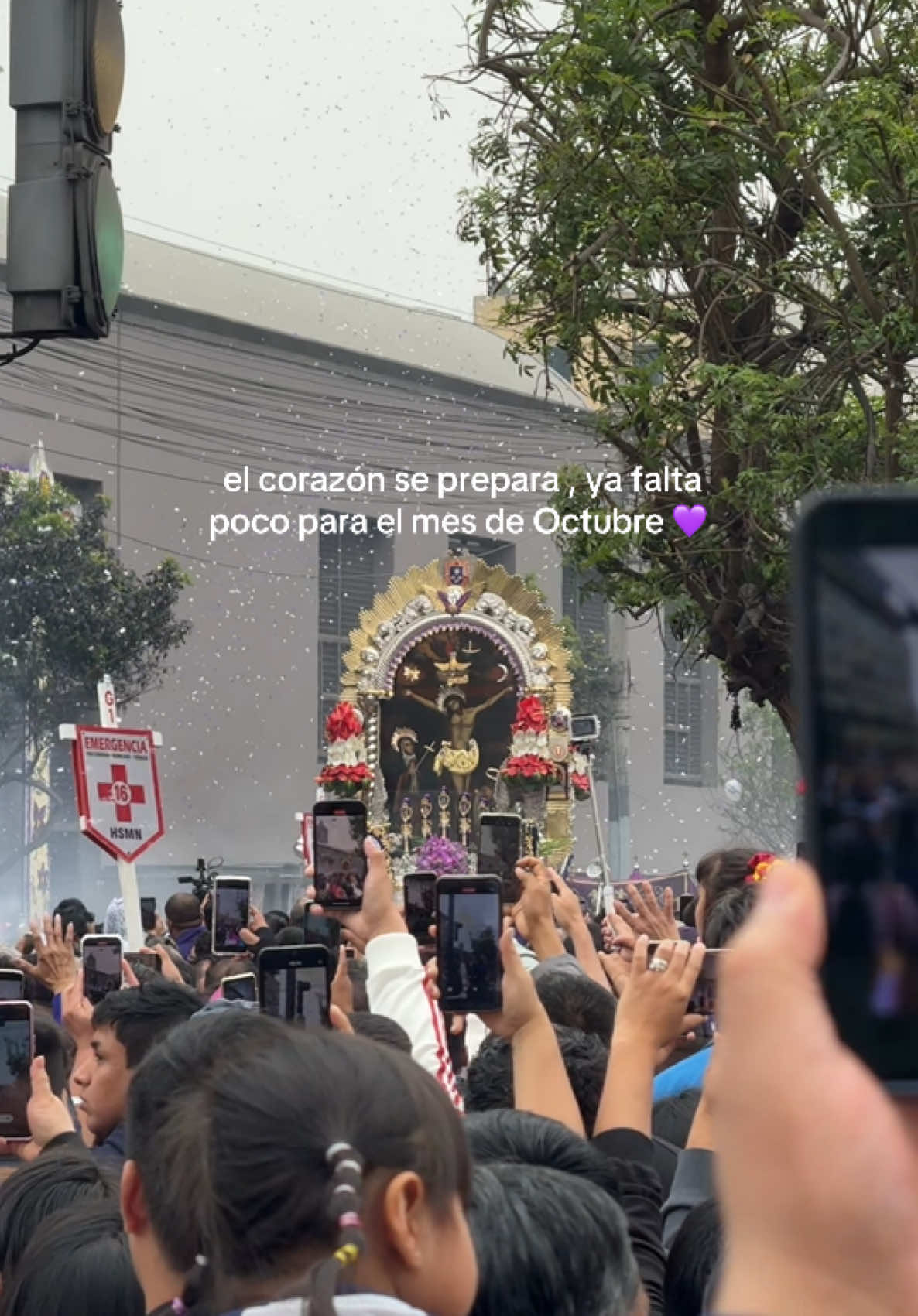 💜💜 #parati #trend #señordelosmilagros #mesmorado 