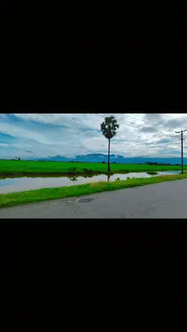 #fypシ゚ #500kviews #thankb4youdo #tiktokmyanmar🇲🇲 
