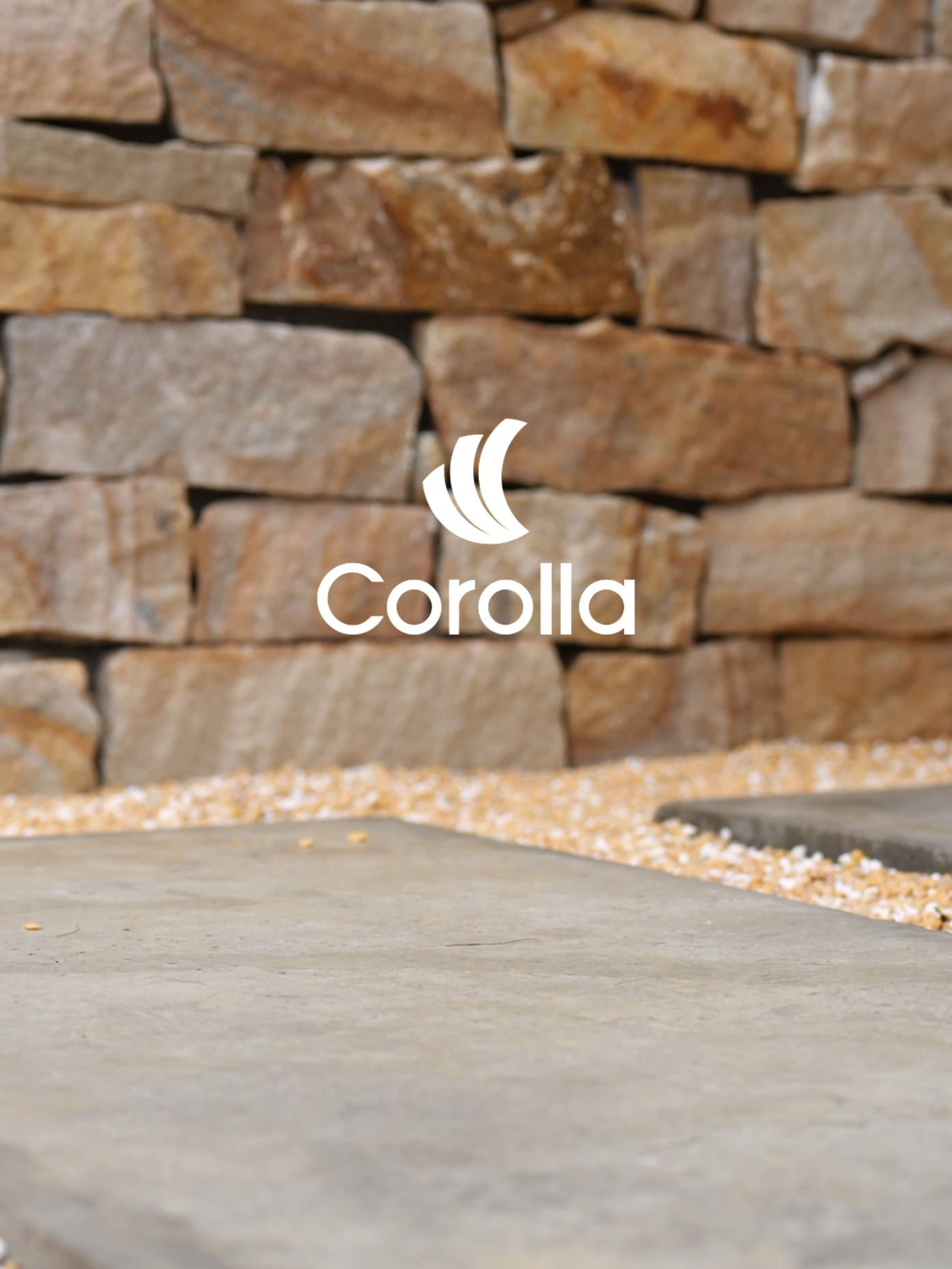 Stroll through the streets together#corollashoes #foryourpage #casualshoes #shoestyle #koreanshoes 