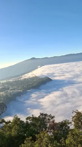 siapa tauFyp pakai dangdut koplo#sewajeepbromo #bromo #serunipointbromo #sunrise #tamannasionalbromotenggersemeru 