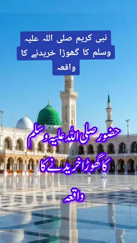 SaqibRazaByan💕 #mustafai #foryoupage❤️❤️ #whattowatch  #unitedkingdom #saqibrazamustafai 