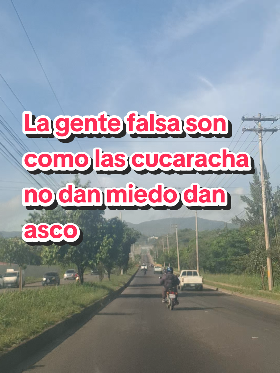 La gente falsa son como las cucaracha no dan miedo dan asco