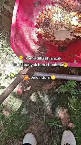 egrekku berontak rontak😂#petanimuda #kulisawit #fypシ゚ 