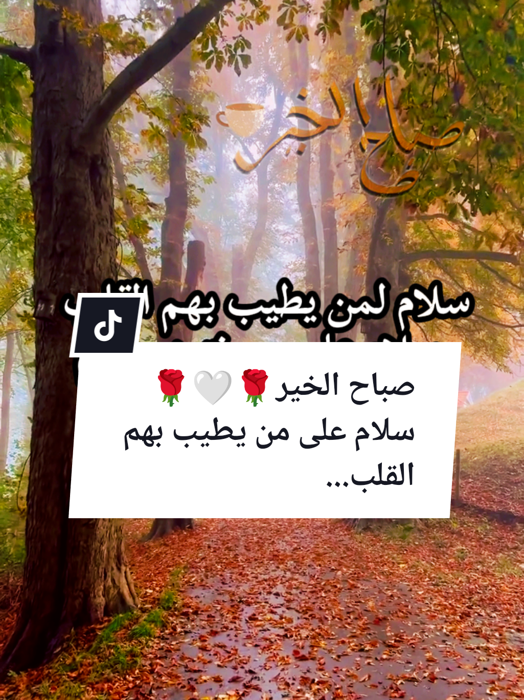 #souzan396 #صباح_الخير  صباح الخير🤍🌹☕سلام على من يطيب بهم القلب...