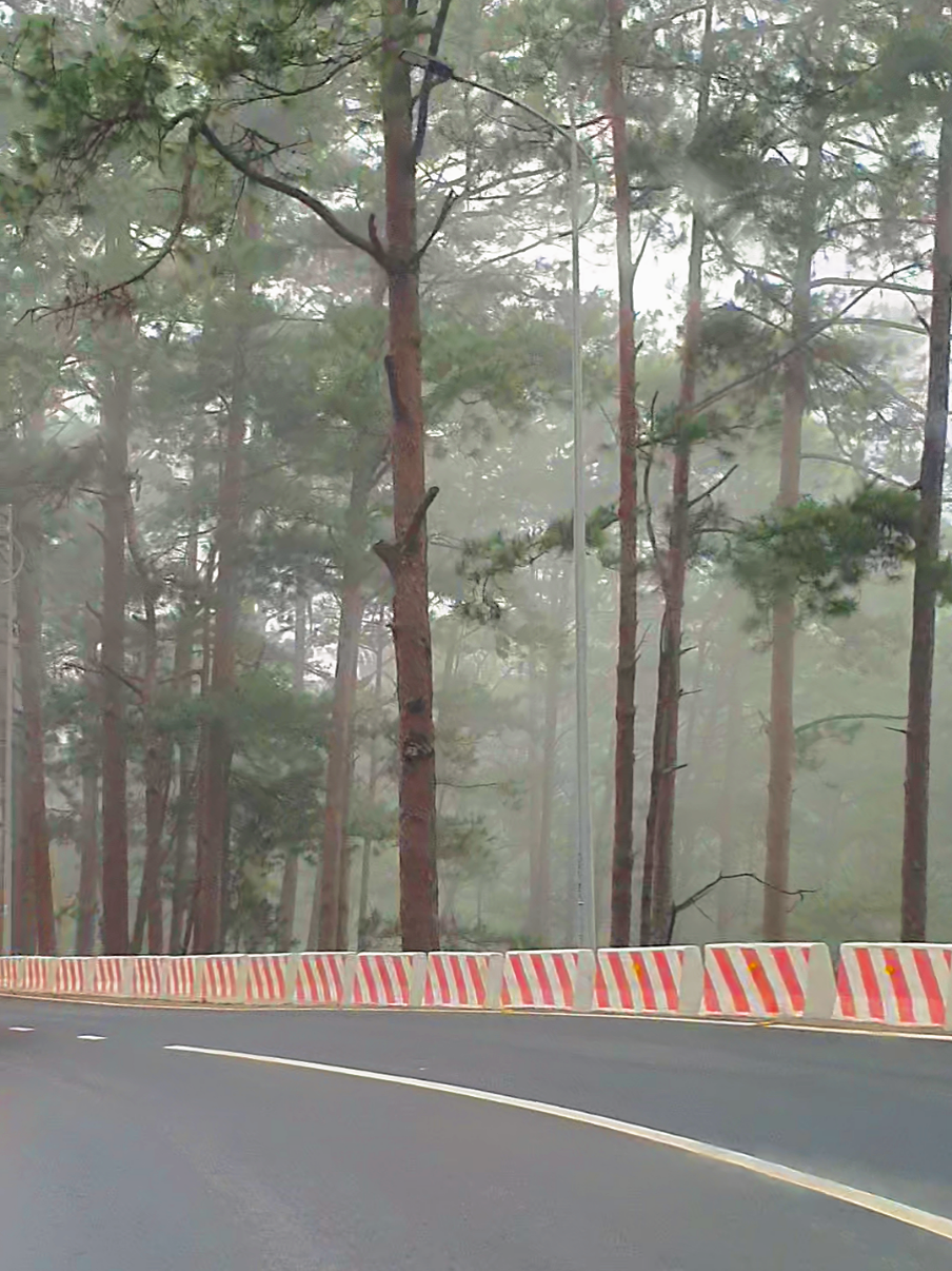 nghe bảo đây là con dốc huyền thoại của của các idol toptop🌲 #traveltiktok #travelvn #dalat #🇻🇳 