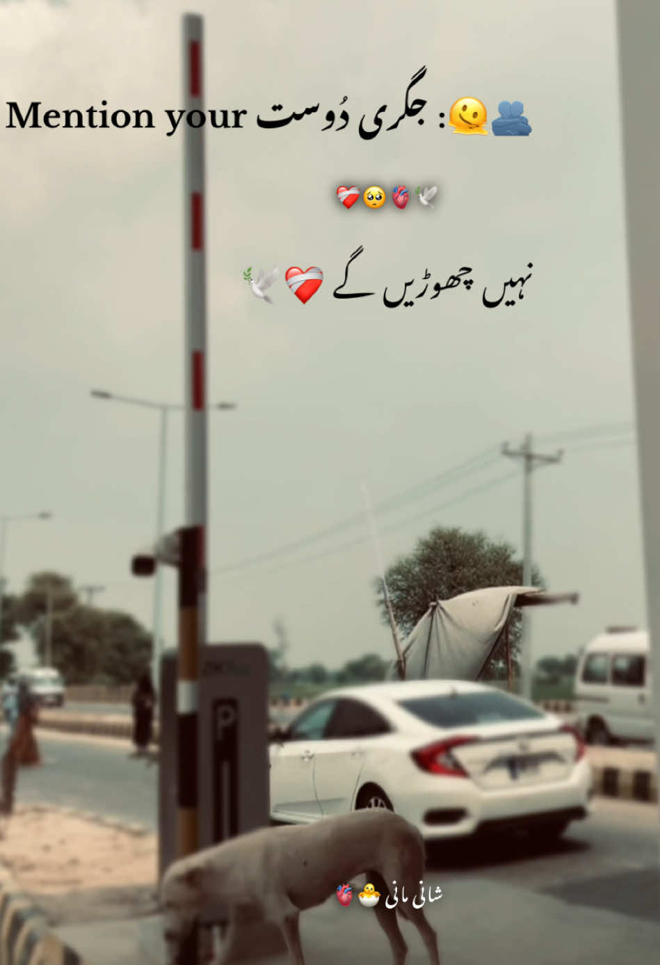 Hayeee❤️‍🩹🫂🫀🕊️🥺🫠🫣#growmyacount🐣🤍😂 #Unfreezmyacount❤️🤍 #Forupagetiktoklover #Manishani373😭😭😭 #growmyacount🐣🤍😂 #Unfreezmyacount❤️🤍 #Forupagetiktoklover #growmyacount🐣🤍😂 #Unfreezmyacount❤️🤍 #Forupagetiktoklover 