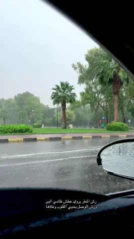 #غابة_سقام #امطار_الخير 