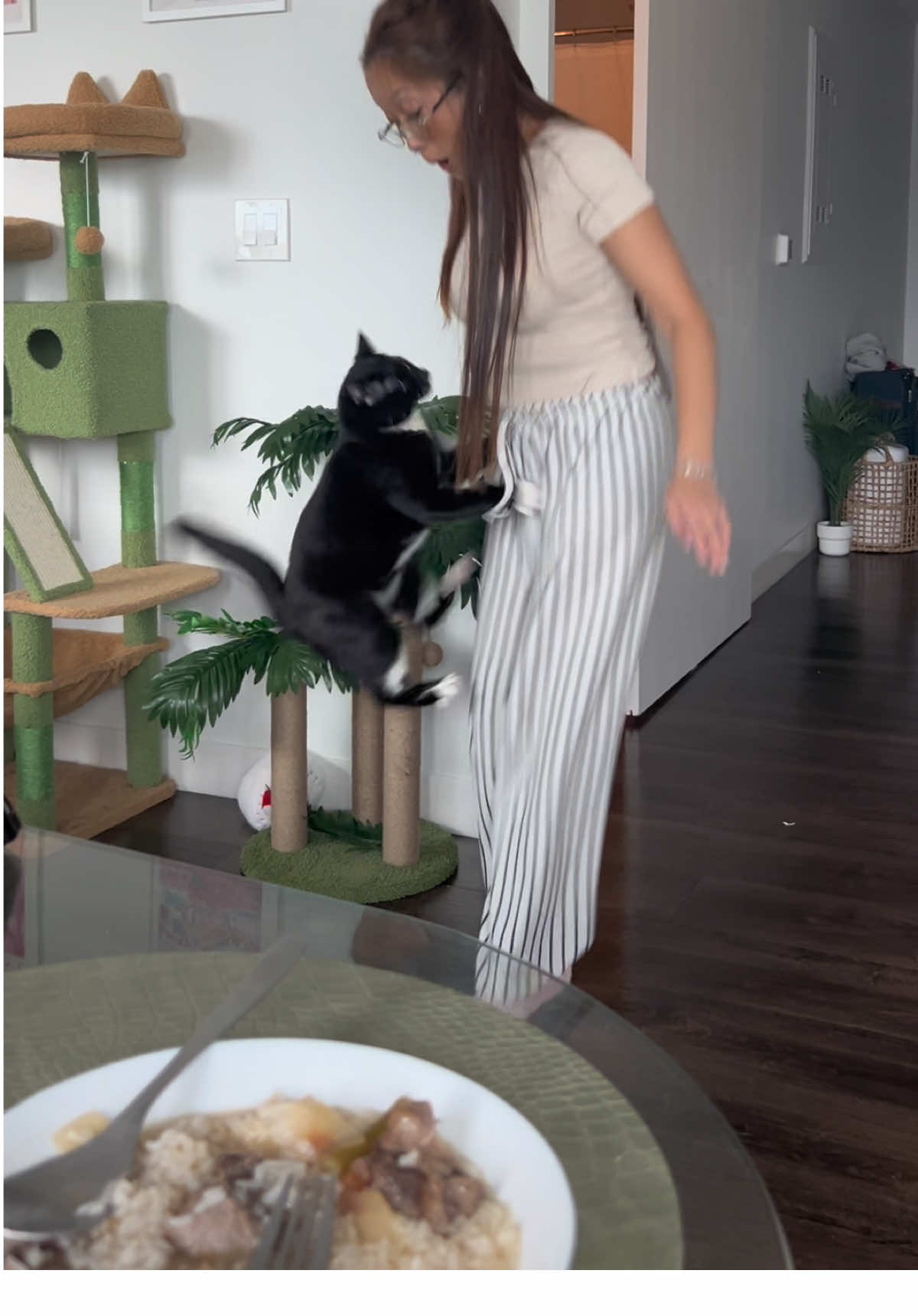 Maximum ATTACK 😈 #fyp #catsoftiktok #tuxedocat #maxlovesdinner #cat 