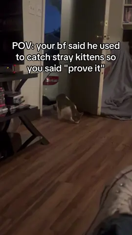 Not my usual tactics, however, you can't argue with results! Really tho what happened was this kitten had been living under our home, our home needed a new hvac system underneath so we didn't want her trapped down there and didn't want to evict her either so SURPRISE ADOPTION! That's me behind the door #pieceofcandy #kittyrescue #fyp