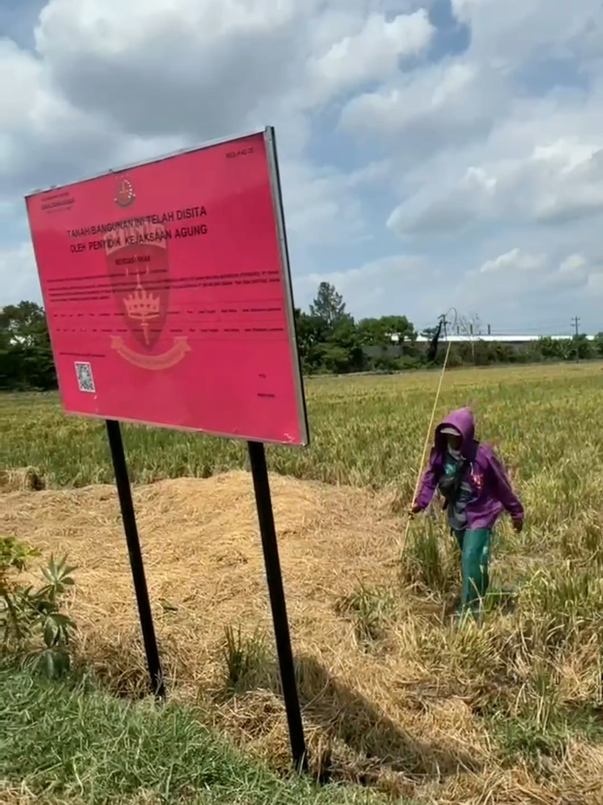 Sebanyak 57 bidang tanah atas nama eks Dirut Sritex, Iwan Setiawan Lukminto di Sukoharjo disita Kejagung. Saat ini tanah² tersebut telah dipasang papan penyitaan dimana beberapa diantaranya di Kel Combongan, Kec Sukoharjo. #sukoharjo #eksdirutsritex #kasussritex #tersangkasritex #fyp 