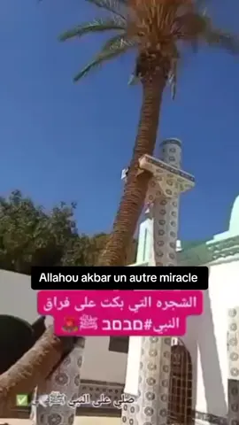 Mystère 