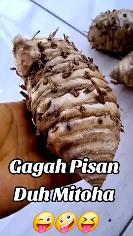 Tetap Semangat Tetap Sehat #indonesia #jawabarat #sumedang #gelapnyawangnusantara 