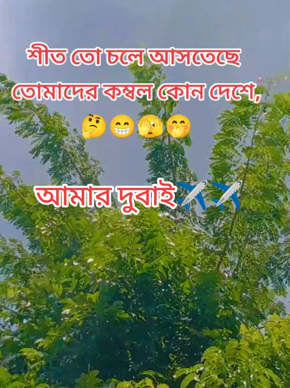 কমেন্টে বলে যাবেন কিন্তু #foryou #foryoupage #tiktoobangladesh #foryou #@TiTok@TikTokBangladesh