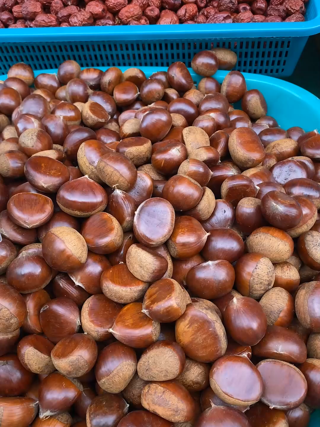 “Roasted Chestnuts 🌰 | Korean Street Food #shorts” 🌰🔥 Warm, sweet, and nutty — Roasted Chestnuts (군밤) are a classic Korean winter street snack that everyone loves. From the streets of Seoul 🇰🇷 to food markets across Korea, this nostalgic treat brings comfort in every bite 🤤. 👉 Perfect for foodies, mukbang fans, and Korean street food lovers worldwide 🌍. 📍 Filmed in South Korea 🇰🇷 📲 Don’t forget to LIKE, FOLLOW & SHARE for more viral Korean street food reels!#KoreanStreetFood #RoastedChestnuts #Chestnuts #군밤 #StreetFood #KFood #KoreanSnack #KoreanDessert #먹방 #KoreaFood #Foodie #WinterSnack #shorts #viral #reels #fyp #FoodShorts