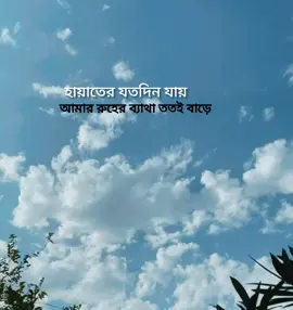 হায়াতের যতদিন যায় আমার রুহের ব্যাথা ততই বাড়ে! #fyp #foryou #trendingsong #bangladesh🇧🇩 #unfrezzmyaccount 