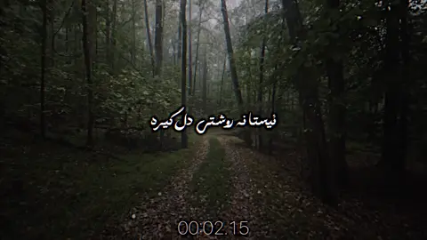 شیوەن و گریان یەک جارە💔 #foryoupage #Foryou #foryoupage #Foryou #i4m_a7aa1 